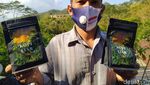 Foto: Bermalam di Homestay Perbukitan Menoreh Asyik Juga