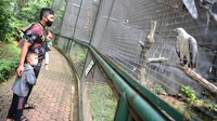 Kembali dibukanya dua wahana tersebut membuat kawasan Taman Mini Indonesia Indah (TMII) kembali didatangi para pengunjung saat akhir pekan. 