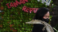 Pengunjung foto bersama dengan hewan reptil di wahana taman reptilia TMII, Jakarta, Minggu (12/9/2021).