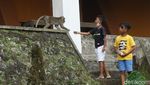 Foto: Kaliurang Diserbu Wisatawan