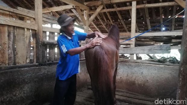 Kuda Renggong Sumedang