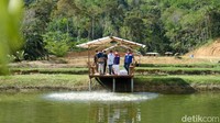 Menteri Pariwisata dan Ekonomi Kreatif (Menparekraf) Sandiaga Uno berkunjung ke Desa Wisata Kampung Patin di Riau. Diketahui, Desa Wisata Koto Masjid viral di media sosial setelah menjadi salah satu desa yang menembus 50 besar nominasi Anugerah Desa Wisata 2021. Di daerah itu juga ada kolam ikan patin yang populer.