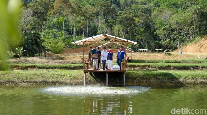 Menengok Kampung Patin yang Dikunjungi Sandiaga Uno di Riau Menparekraf Sandiaga Uno berkunjung ke Koto Masjid atau yang lebih dikenal Kampung Patin di Kampar, Riau. Seperti apa penampakannya?