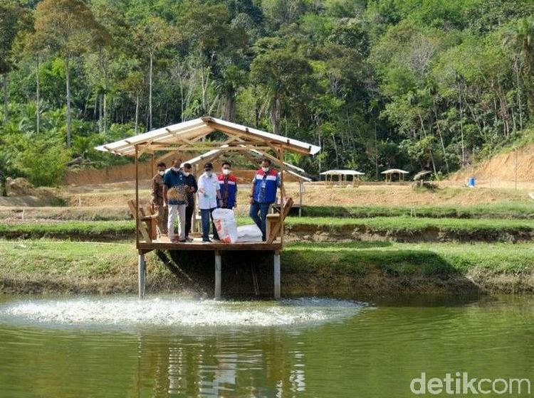 Menengok Kampung Patin yang Dikunjungi Sandiaga Uno di Riau