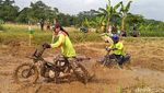 Meriahnya Lomba Balap Motor Gabah Usai Panen Raya Padi di Batang