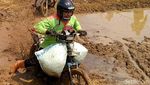 Meriahnya Lomba Balap Motor Gabah Usai Panen Raya Padi di Batang