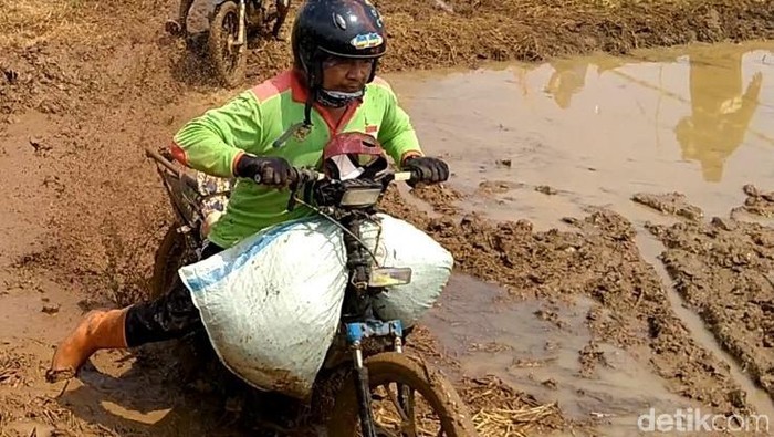 Ada beragam cara yang dilakukan petani dan para ojek gabah dalam merayakan panen raya padi di Batang. Salah satunya dengan gelar lomba balap motor gabah.