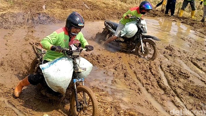 Meriahnya Lomba Balap Motor Gabah Usai Panen Raya Padi di Batang Ada beragam cara yang dilakukan petani dan para ojek gabah dalam merayakan panen raya padi di Batang. Salah satunya dengan gelar lomba balap motor gabah.