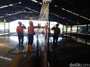 Aksi Pasukan Argo Keroyok Ular Besi