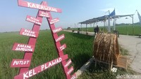Selama PPKM, spot ini sempat tidak ramai karena tidak diizinkan. Namun saat ini, ketika level PPKM menurun, warga mulai berdatangan. (Yuda Febrian Silitonga/detikTravel)