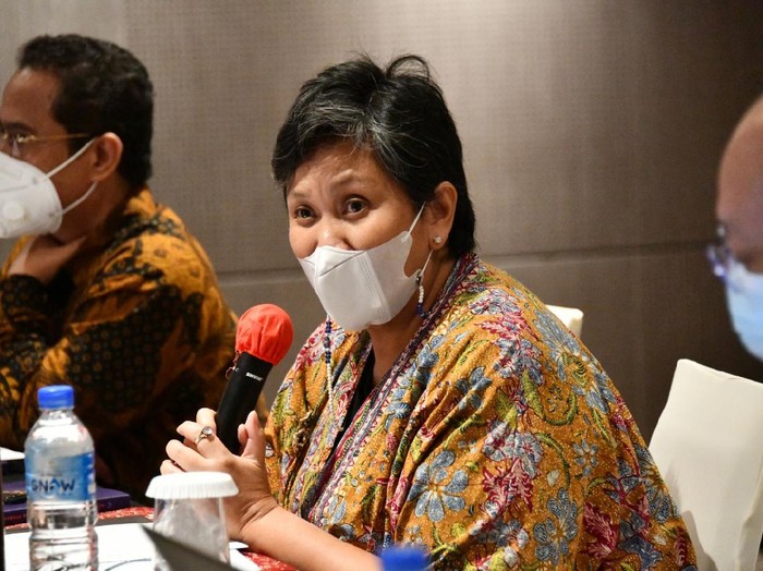 Wakil Ketua MPR RI, Lestari Moerdijat