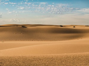 Ngeri! Suhu Timur Tengah dan Afrika Bisa Tembus 60 Derajat Celcius