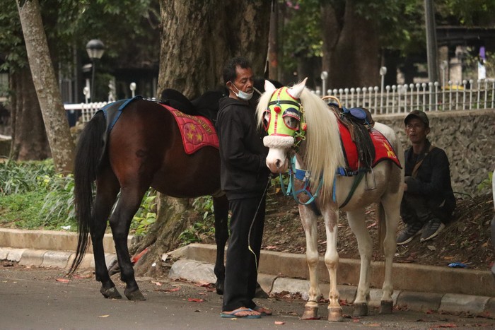 Bonbin Bandung Belum Buka, Wisatawan Pilih Naik Kuda di Jalan Ganesha