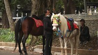 Wisatawan yang datang ke Bandung akhirnya memilih ke mal atau ke resto dan kafe yang sudah terlebih dahulu buka. Foto: Wisma Putra/detikcom