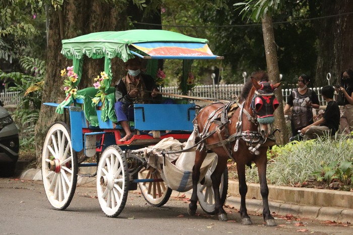 Bonbin Bandung Belum Buka, Wisatawan Pilih Naik Kuda di Jalan Ganesha Bonbin Bandung Belum Buka, Wisatawan Pilih Naik Kuda di Jalan Ganesha