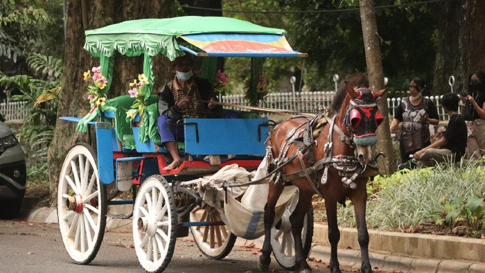 Bonbin Bandung Belum Buka, Wisatawan Pilih Naik Kuda di Jalan Ganesha