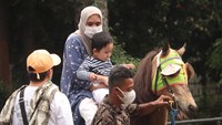 Ada juga, wisatawan yang memilih mengejak anaknya naik kuda di Jalan Ganesha tepatnya didepan Gerbang kampus ITB Bandung. Foto: Wisma Putra/detikcom