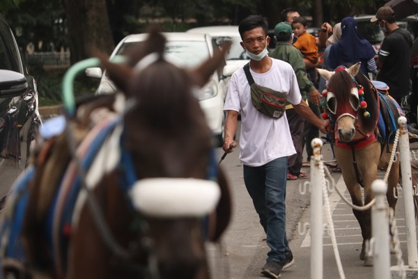Kebun Binatang Bandung atau Bandung Zoo Logical Garden belum buka, meski dalam Perwal No 94 Tahun 2021 Bonbin Bandung sudah bisa beroperasi lagi. Foto: Wisma Putra/detikcom Kebun Binatang Bandung atau Bandung Zoo Logical Garden belum buka, meski dalam Perwal No 94 Tahun 2021 Bonbin Bandung sudah bisa beroperasi lagi. Foto: Wisma Putra/detikcom