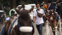 Kebun Binatang Bandung atau Bandung Zoo Logical Garden belum buka, meski dalam Perwal No 94 Tahun 2021 Bonbin Bandung sudah bisa beroperasi lagi. Foto: Wisma Putra/detikcom