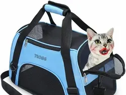 Deretan Foto Kesalahan Desain yang Bikin Ngakak