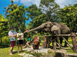 13+ Tempat Wisata Jogja yang Ramah Anak, Cocok untuk Liburan Keluarga