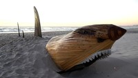 Ada juga patung ikan hiu raksasa yang dipamerkan.  Foto: Getty Images/Matt Roberts