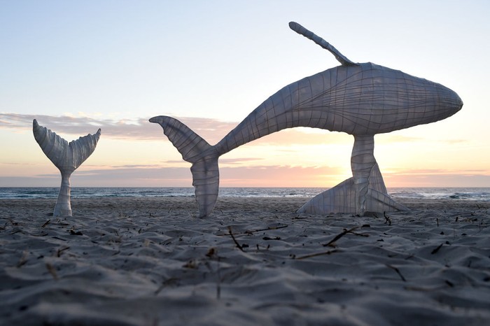 CURRUMBIN, AUSTRALIA - SEPTEMBER 13: Sculpture by Danger Dave titled 'Damien Hirst Looking for Sharks' is seen on September 13, 2021 in Currumbin, Australia. SWELL Sculpture Festival is an annual exhibition that features 65 large-scale sculptures installed along Currumbin Beach on the Gold Coast in Queensland. (Photo by Matt Roberts/Getty Images)