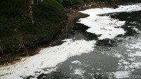 Buih bak salju itu tampak mengambang di atas aliran air.