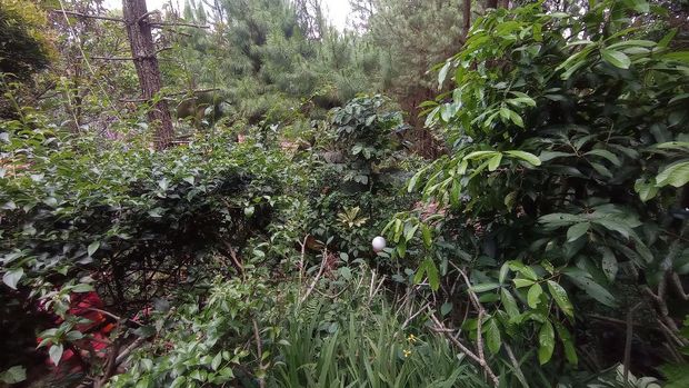 Kawasan rumah Rocky Gerung di Bojongkoneng, Kecamatan Babakan Madang Kabupaten Bogor