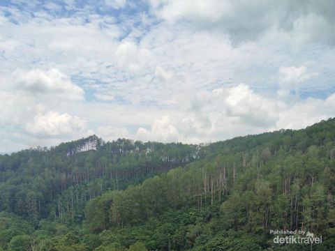 Pemandangan yang indah, dan langsung berbatasan dengan alam.