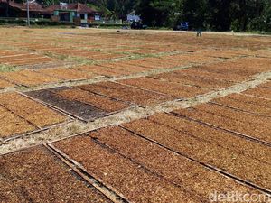 Industri Tembakau dan Pentingnya untuk APBN