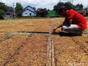 Revisi Aturan Ini Disorot, Kenapa?
