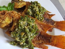 Resep Ikan Nila Goreng Cabe Hijau yang Pedas Nagih