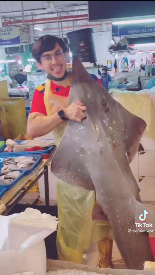 Jangan Salfok! Ini Tukang Ikan Ganteng yang Lagi Viral di TikTok