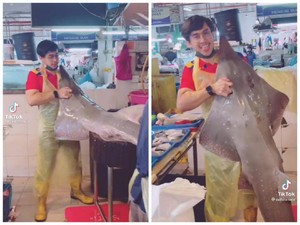 Jangan Salfok! Ini Tukang Ikan Ganteng yang Lagi Viral di TikTok