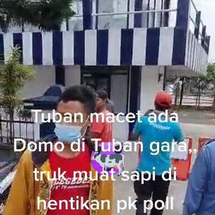 viral sopir truk sapi luruk pos polisi di tuban