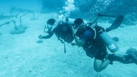 Perairan Pulau Mitita menawarkan pemandangan keindahan bawah lautnya.  