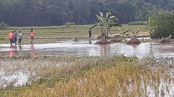 Banjir Rangkasbitung tewaskan petani
