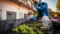 Melansir Getty Images, kebun masyarakat itu didirikan oleh pemilik perusahaan Koperasi Taksi Ratchaphruek.