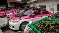 Taksi-taksi yang tak lagi digunakan imbas pandemi COVID-19 itu berubah menjadi lahan berkebun. Bagian atap hingga kap mobil pun dialihfungsi untuk menanam berbagai sayuran. 