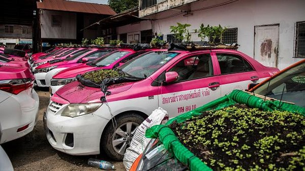 Adalah karyawan Ratchaphruek Taxi Cooperative yang menciptakan kebun sayur mini. Mereka membentangkan kantong sampah hitam yang diikatkan pada bingkai bambu di atas atap mobil. (Getty Images/Lauren DeCicca) Adalah karyawan Ratchaphruek Taxi Cooperative yang menciptakan kebun sayur mini. Mereka membentangkan kantong sampah hitam yang diikatkan pada bingkai bambu di atas atap mobil. (Getty Images/Lauren DeCicca)