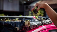 Beragam sayuran yang ditanam di kebun masyarakat itu pun nantinya akan didistribusikan untuk para karyawan. 
