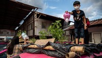Diharapkan kebun masyarakat tersebut dapat membantu para karyawan memenuhi kebutuhan sehari-hari mereka dan bertahan di masa pandemi.