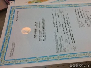 Cara Membuat Akta Kelahiran di Denpasar Bali, Cek Syaratnya