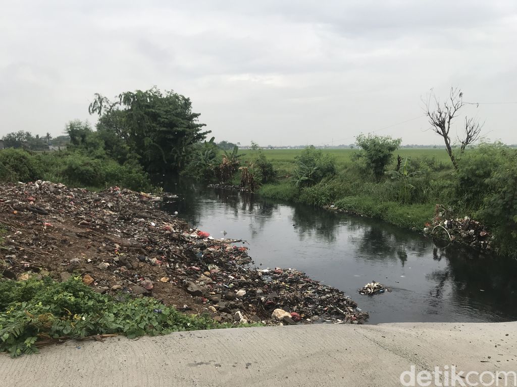 Kali Busa, Tambun Utara, Kabupaten Bekasi, usai dibersihkan, 14 Septermber 2021. (Faiz Iqbal Maulid/detikcom)