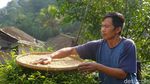 Konservasi Hutan Petungkriyono dengan Kopi Owa