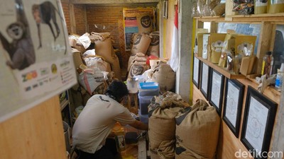 Konservasi Hutan Petungkriyono dengan Kopi Owa