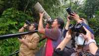 Beginilah salah satu pengamatan primata sebagai salah satu program konservasi di hutan tersebut. Tentunya, hal ini juga bisa dikembangkan menjadi daya tarik ecotourism di Hutan Petungkriyono, Jawa Tengah. Hutan Petungkriyono kini berada dibawah pengelolaan Perhutani KPH Pekalongan Timur. 