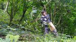Konservasi Hutan Petungkriyono dengan Kopi Owa