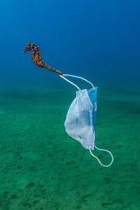 Ocean Photography Awards 2021
